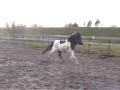 blettur010306