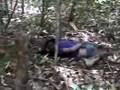 Video from Burma: SHOOT ON SIGHT