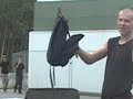 Flumfilm - The New DVD