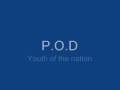 p.o.d youth of the nation