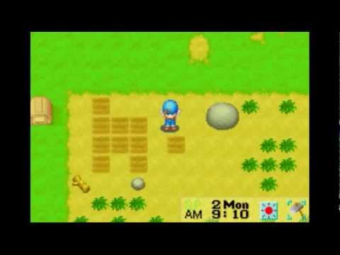 how to equip tools in harvest moon