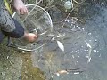 Releas-a na babite i kosturite