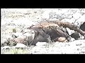 Arabo Armenia Armenian Martakert Artsakh war of 1992 Part 10 Arabo Armenia Armenian Martakert Artsakh war of 1992 Part 10