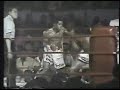 Some highlights from defensive master Hilario Zapata. Featuring his fights with Jung Koo Chang, German Torres and Fidel Bassa.