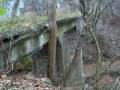 Abandoned Rare Concrete Trolley Bridge Brownsville PA