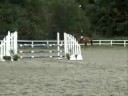 Sandra hoppar Bella 110cm