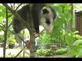 Wildlife Adventures with Steve: Feeding time for Frankie 2