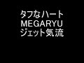 ?????? MEGARYU ??????