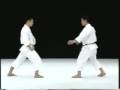 Kagawa Karate Mae Geri Keage