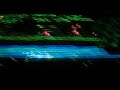 Donkey Kong Country 3 -- 01:01\ Donkey Kong Country 3 -- 01:01\
