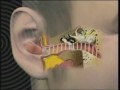 Lee Majors Hearing Aid Commercial