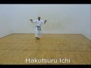 Hakutsuru Ichi