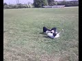 Will jumps