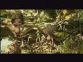 Los Peques - Rocky
