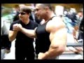 The Best of Dimitar Dimitrov