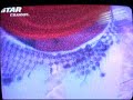 Lalupita en star channel