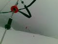 ovindolikite Snowkite 03/01/08 ovindolikite Snowkite 03/01/08