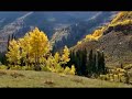 Grand Junction and Crested Butte - Aspens