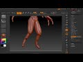 Timelapse1Part2_Insectoid.flv