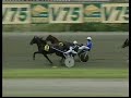 nice molded trotting nice molded trotting