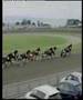 nice molded trotting