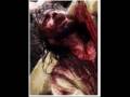 dead poetic - burgundy