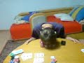 posledice pokera