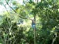 Apaneca canopy tour