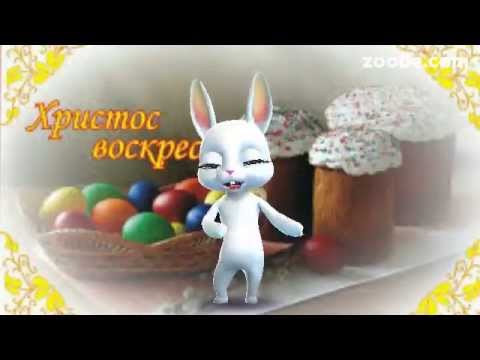 Поздравления с пасхой zoobe зайка Поздравления с пасхой zoobe зайка