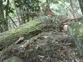 Recorded on February 10, 2008 using a Flip Video camcorder.