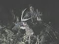 Late Season Bowkill 2006