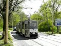 Zerwanie poprzeczki na ul. Asnyka i objazdy (7/9)