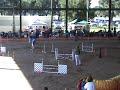 Wilson DTCSP 10/19/2008 Sun Novice JWW