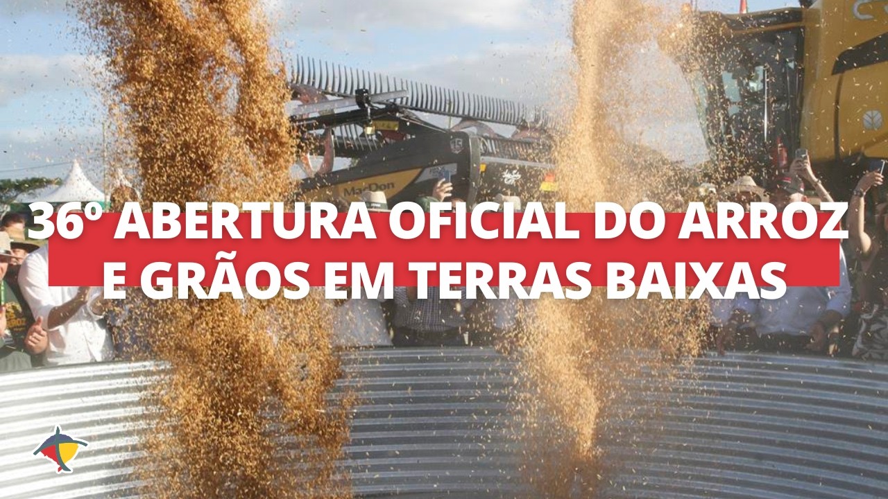 36º Abertura Oficial da Colheita do Arroz e Grãos debate crise do setor no RS | Terra Sul
