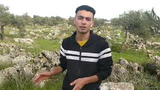 طبيعة الفلسطينية من جبال قرية بيتا  مع محمد عواد