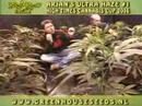 Green House Amsterdam High Times Cannabis Cup Crop 2006 Green House Amsterdam High Times Cannabis Cup Crop 2006
