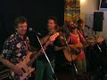 Parody Irish Country Fiddle 