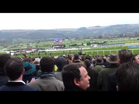 cheltenham festival