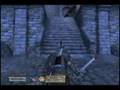 Elder Scrolls IV: Red Beard's Invasion