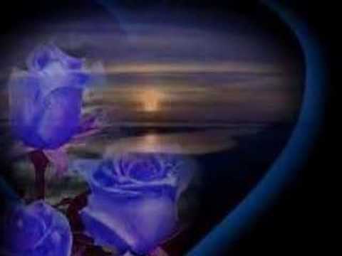 Armen Aloyan-HIshum em