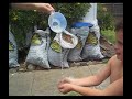 bett u cannnnnnnt do this xD   gotaa watchh it..