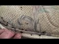 This is just a terrible bed bug problem. There is 500 to 1000 bed bugs in this one bedroom. Our company was able to get rid of this problem with out throwing any beds or furniture he had. And it only required 1 treatment. Call www.K9bedbuginvestigations.com and Town and Country Solutions today if you are currently having problems. Rochester ny