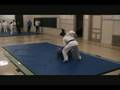 Johanne Connolly's Kyushu-Ryu Ju-Jitsu Brown Belt Clips