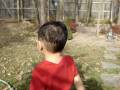 videos de MOV01369.MPG