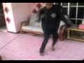 kota belud shuffle lagi_aiman
