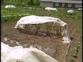 Gardening Sustainability Gardening Sustainability