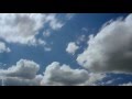 Filtro Solar (no rabo) - Sunscreen