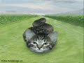 Funny Animals