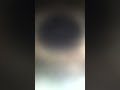 阪神タイガース１〜９２０１１０９１９
