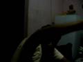 fullllllll camilo sesto